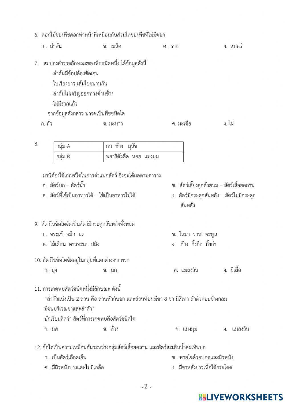 แบบทดสอบ ความหลากหลายของสิ่งมีชีวิต ป.4
