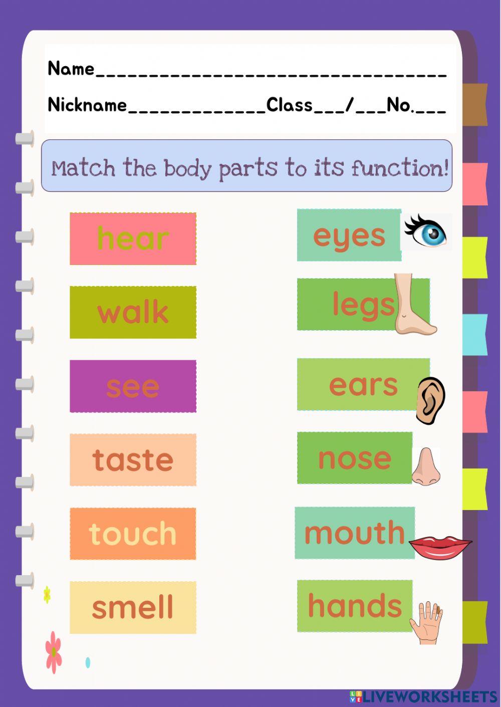 Body parts and functions