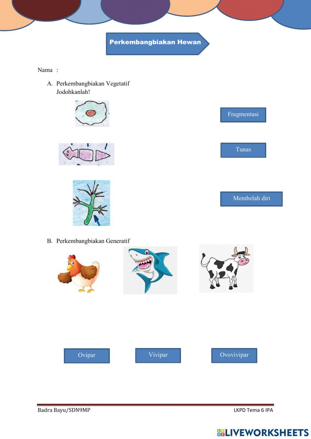 Perkembangbiakan Hewan