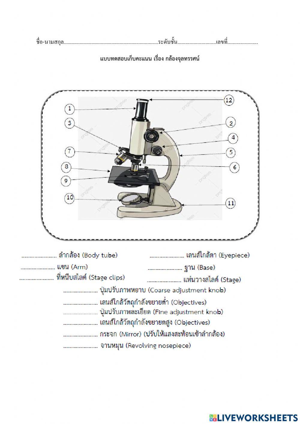 แบบทดสอบกล้องจุลทรรศน์