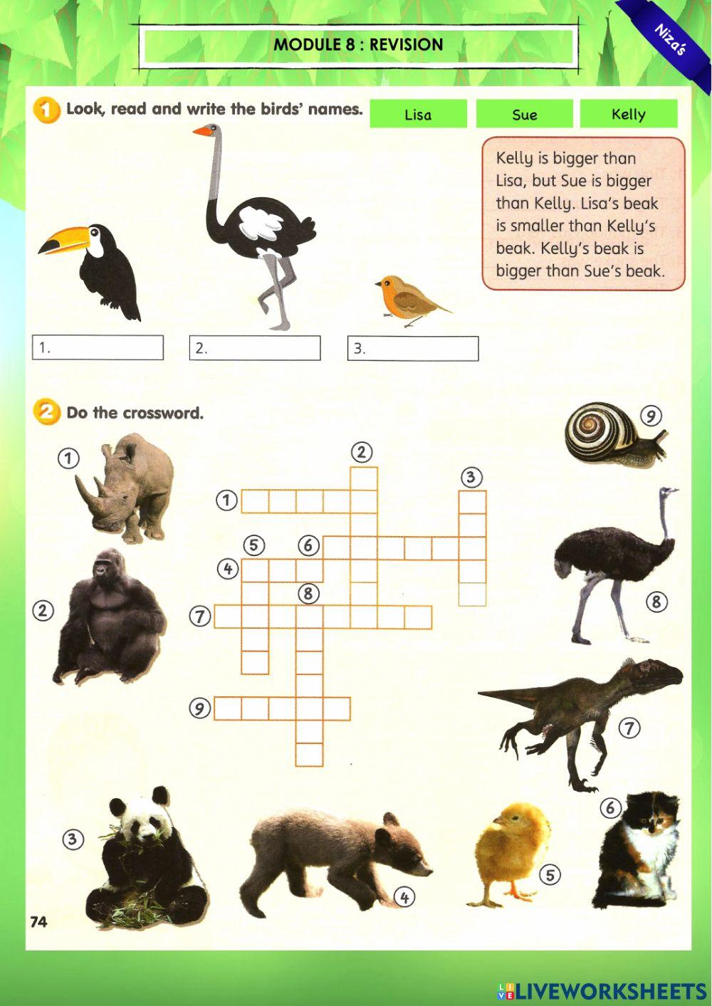 Y4 Module 8 : revision (crossword puzzle)