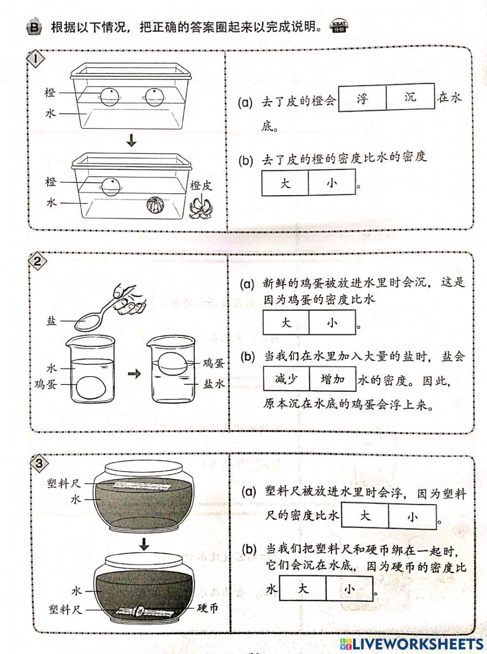 物体的沉浮与密度的关系2
