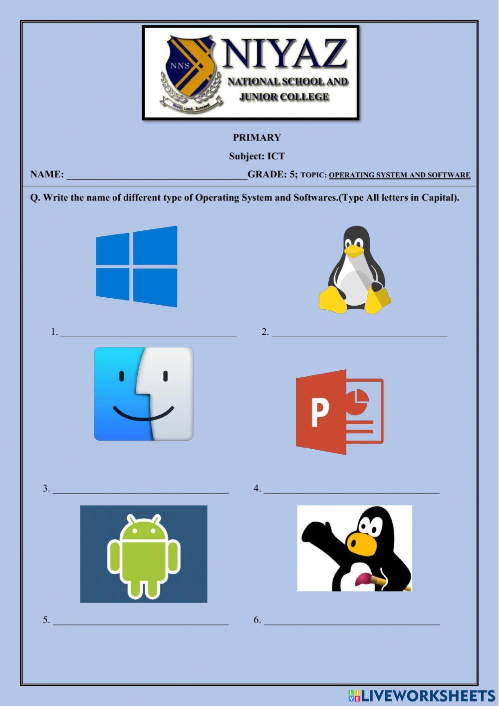 1256255 | System and Application Software | Ansari Rida