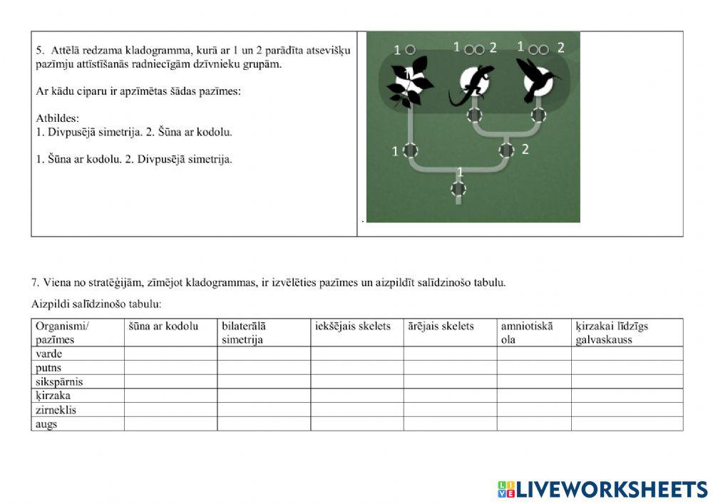 Filoģenētiskais koks