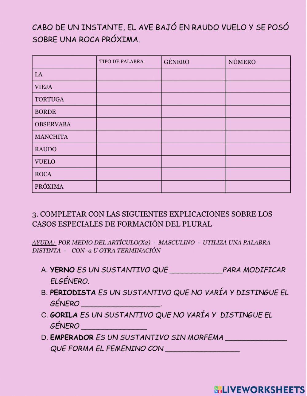 Excepciones en el género y número de los sustantivos