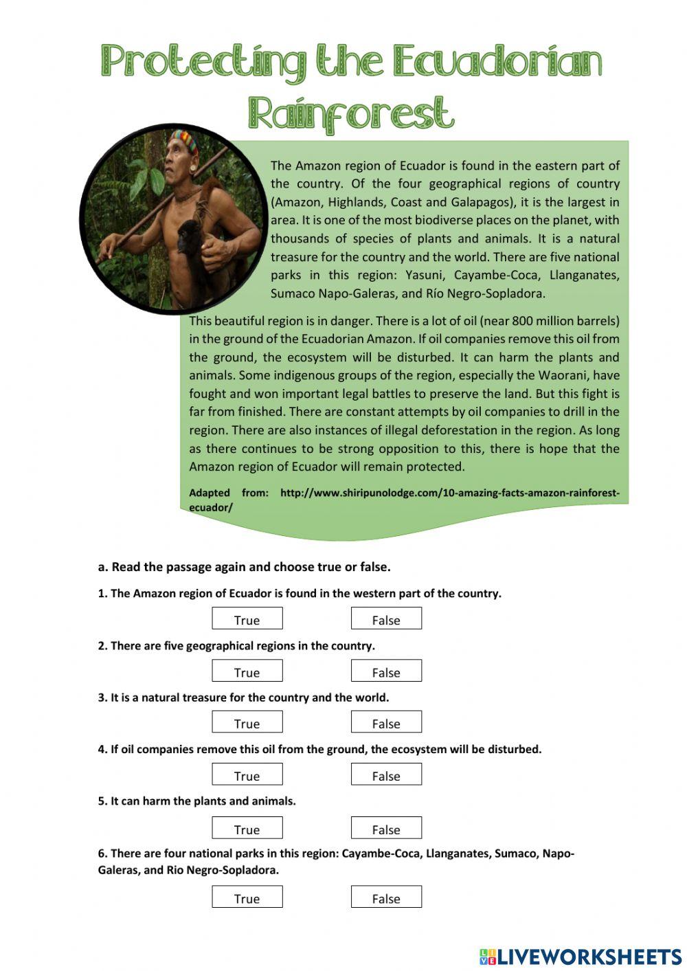 Ecuadorian Amazon rainforests