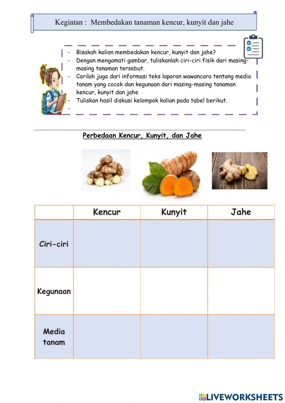 LKPD Kelas 4 Tema 3 ST 3 PB3