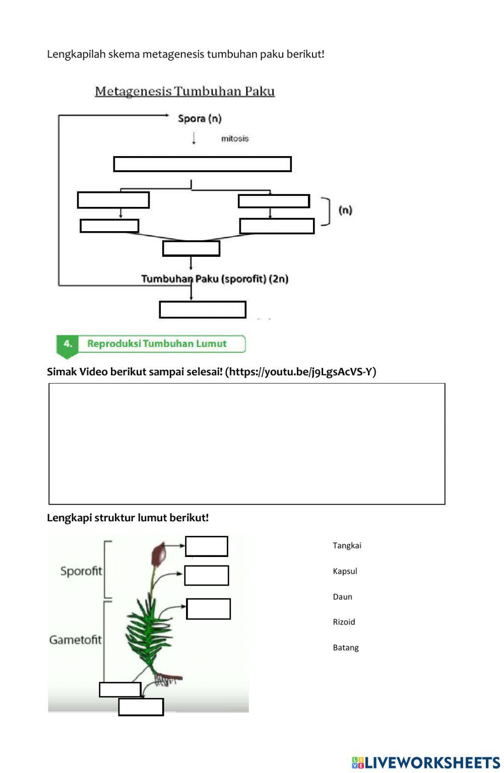 LKPD Perkembangbiakan tumbuhan paku, lumut dan hewan