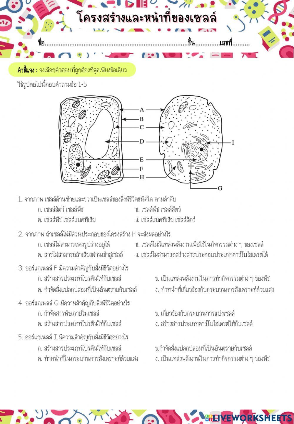 โครงสร้างและหน้าที่ของเซลล์