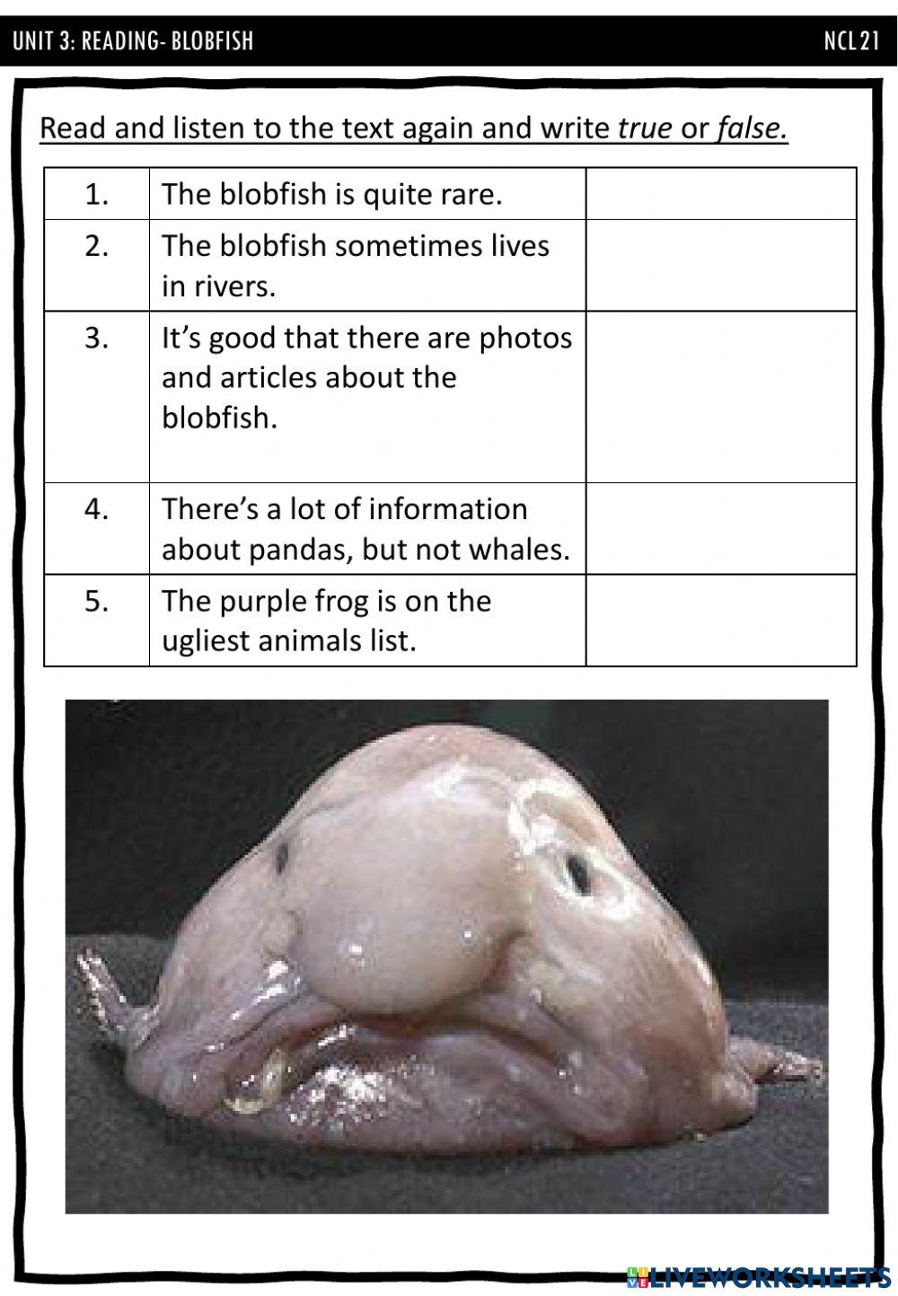 Blobfish Facts: Lesson for Kids - Video & Lesson Transcript