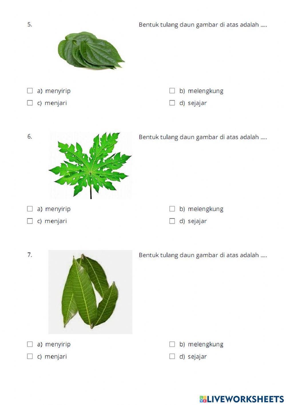 Evaluasi tema 3 subtema 1 pb 3
