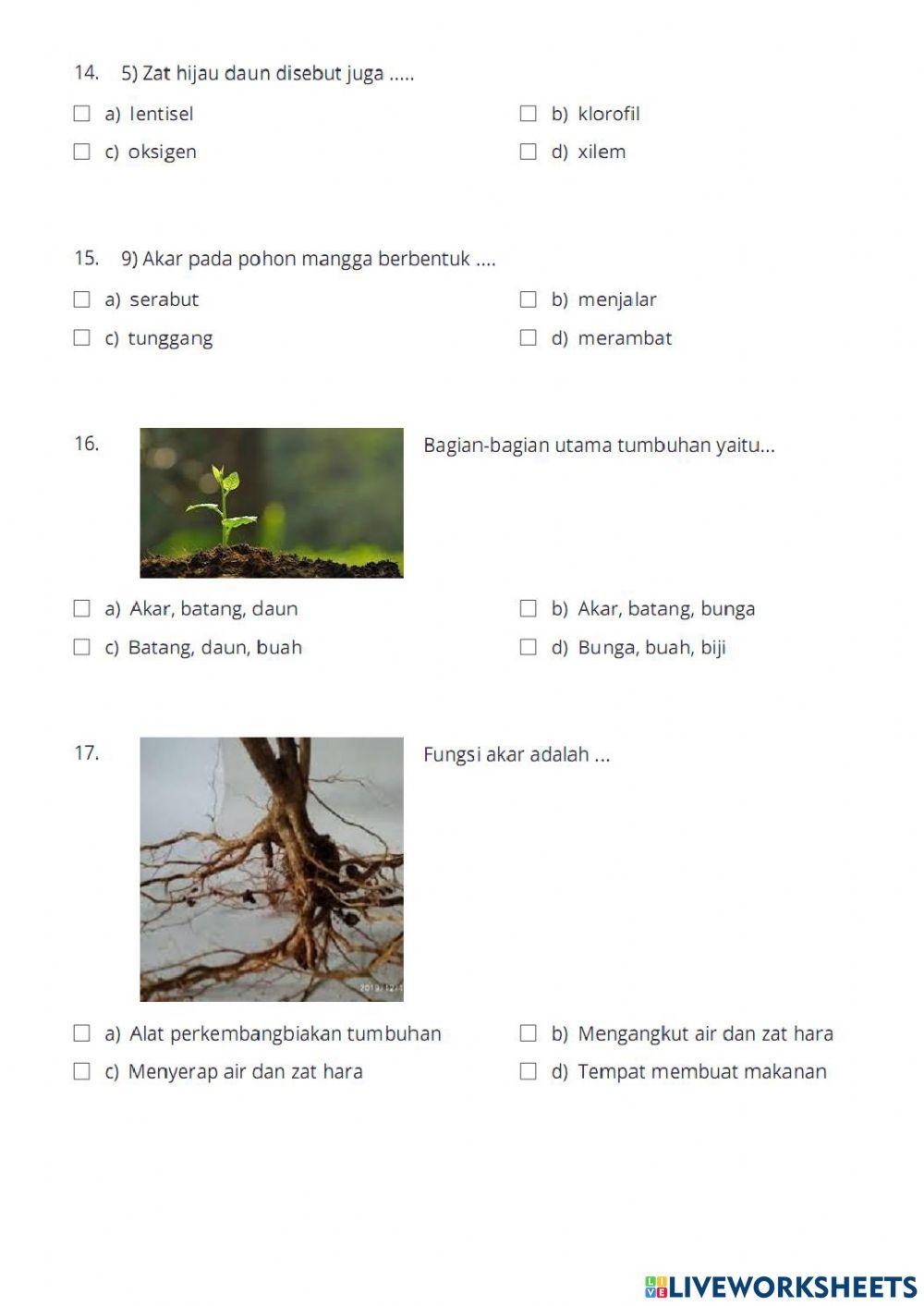 Evaluasi tema 3 subtema 1 pb 3