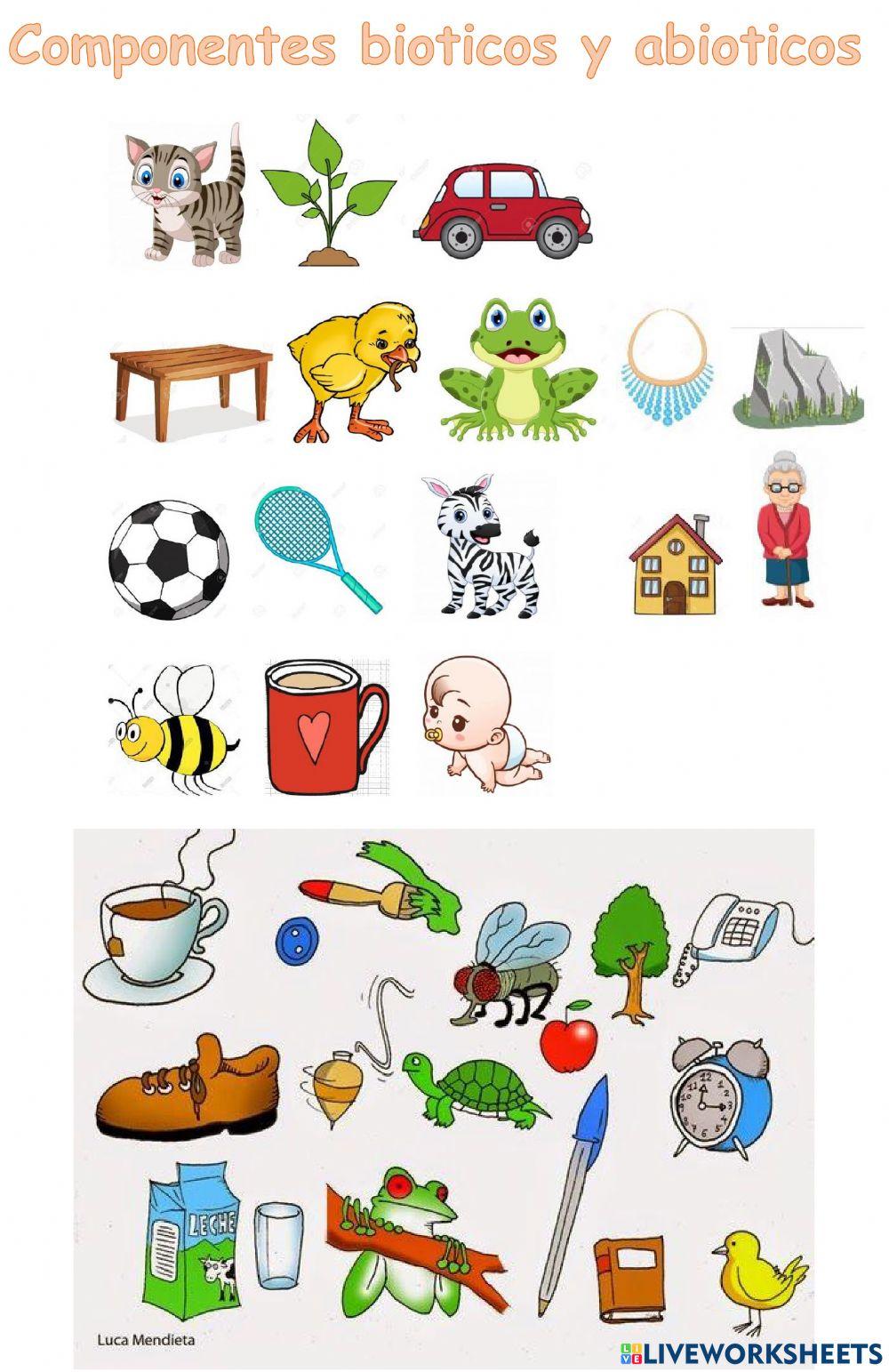 Biótico y abióticos