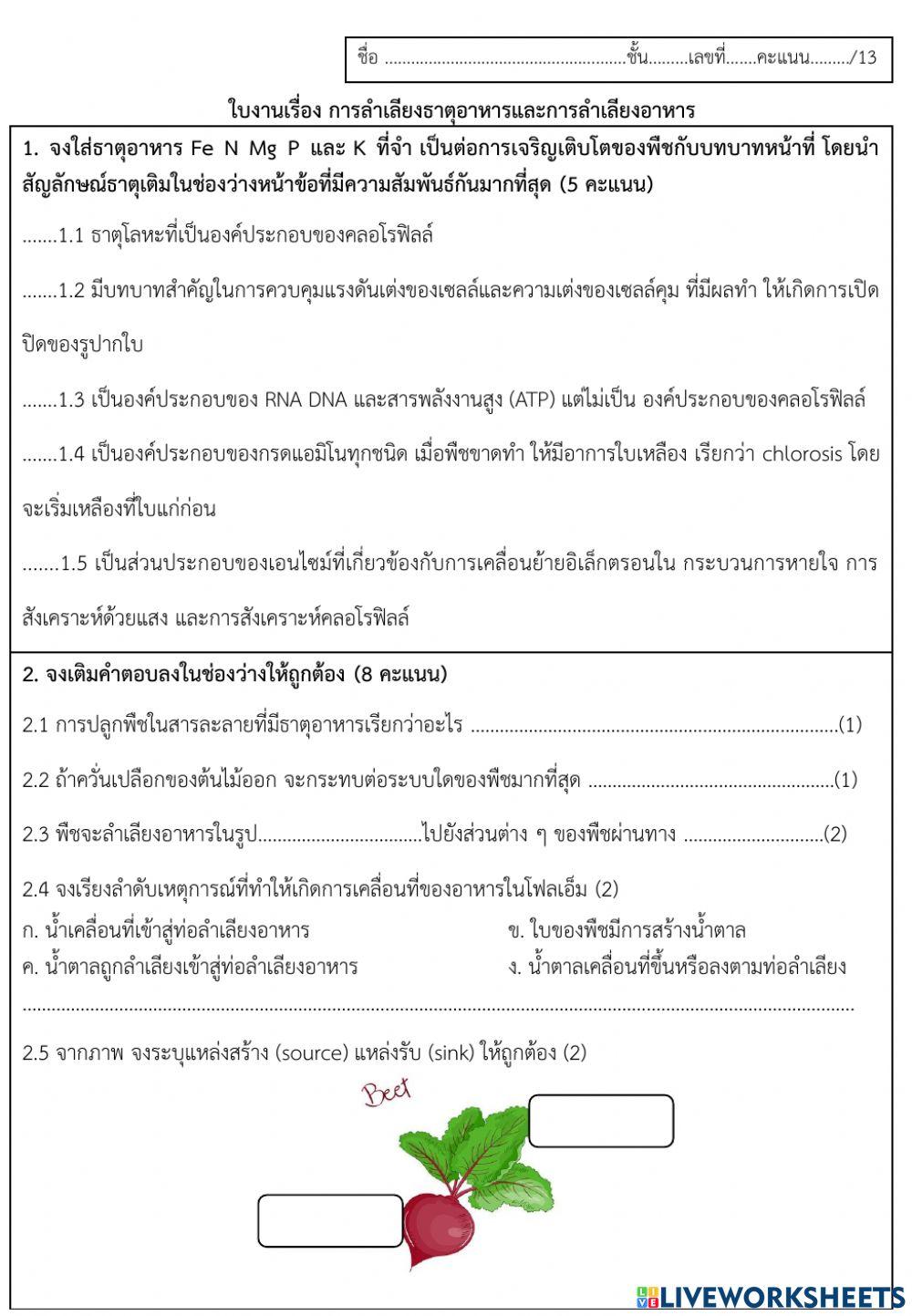 ใบงานเรื่อง การลำเลียงของพืช