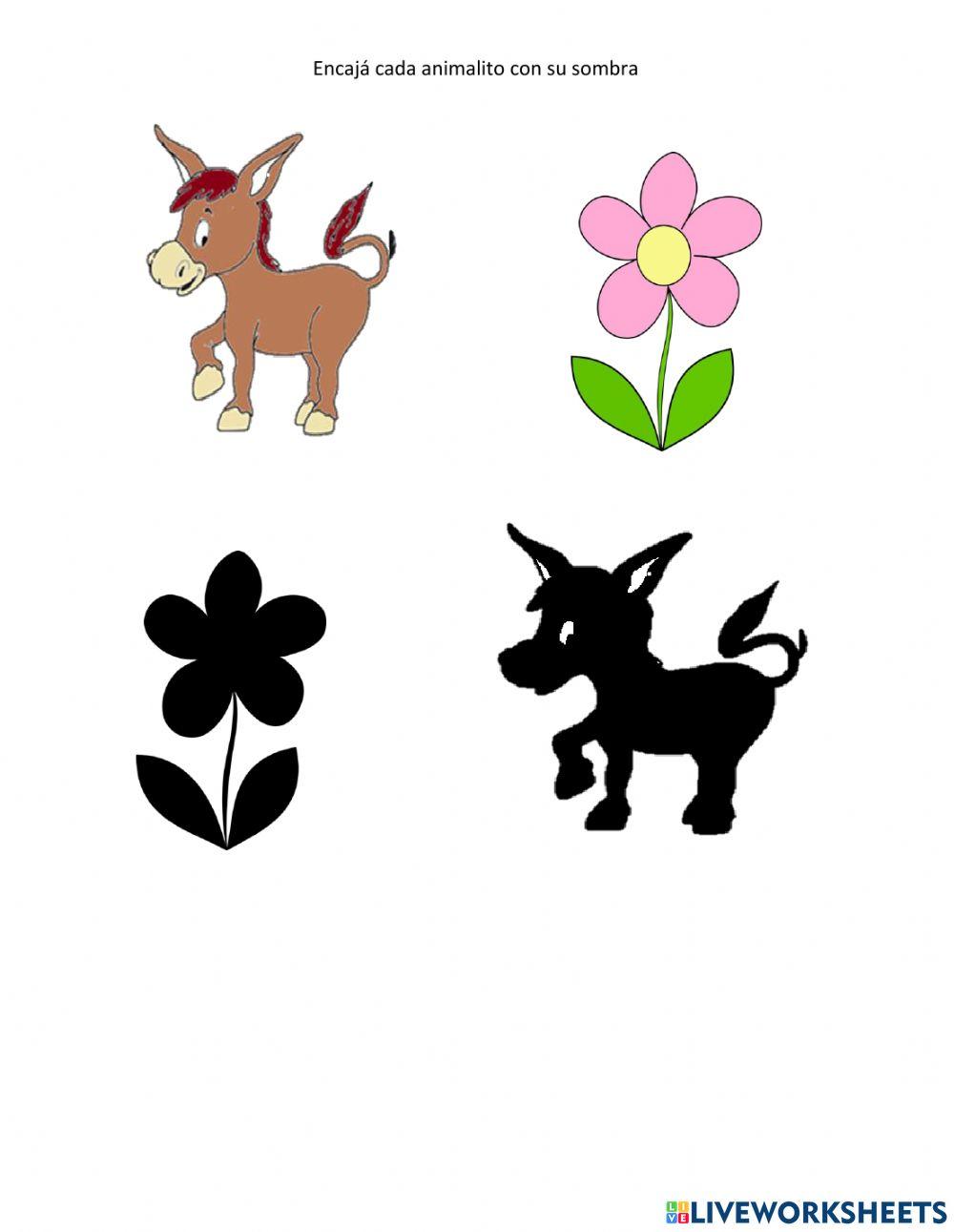 Encajar cada animalito con su sombra