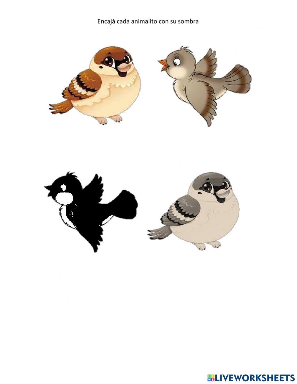Encajar cada animalito con su sombra