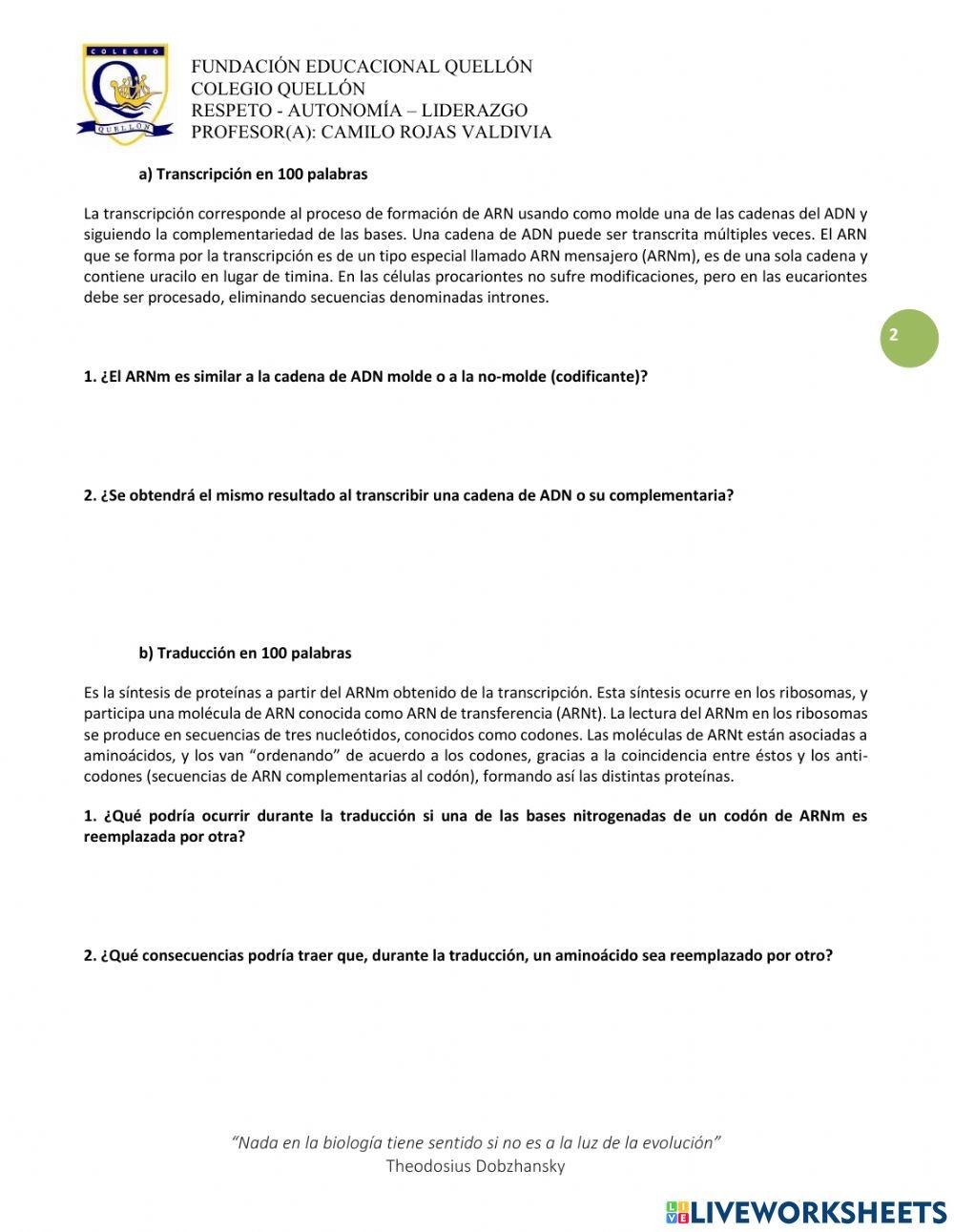 Transcripción y traducción