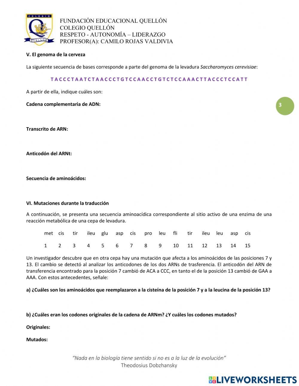 Transcripción y traducción