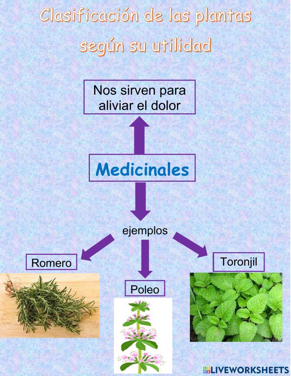 Medicinales