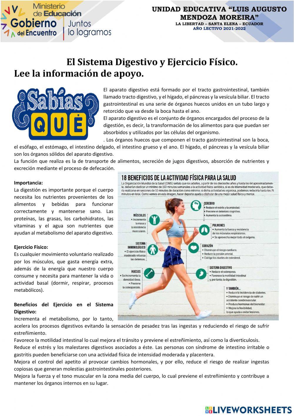 Salud y el sistema digestivo