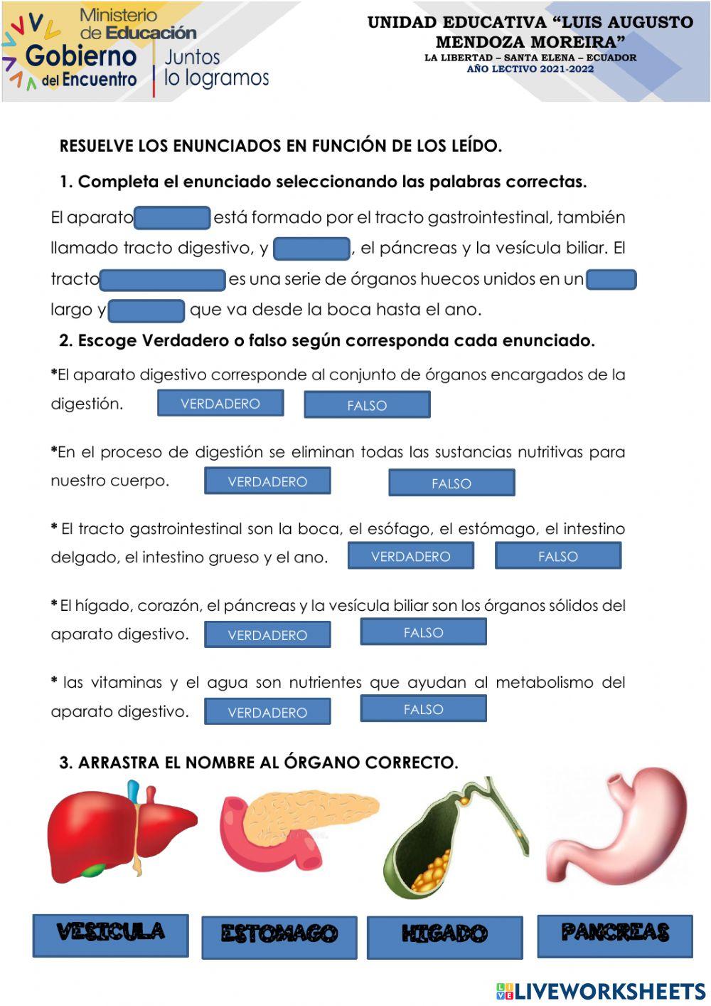 Salud y el sistema digestivo