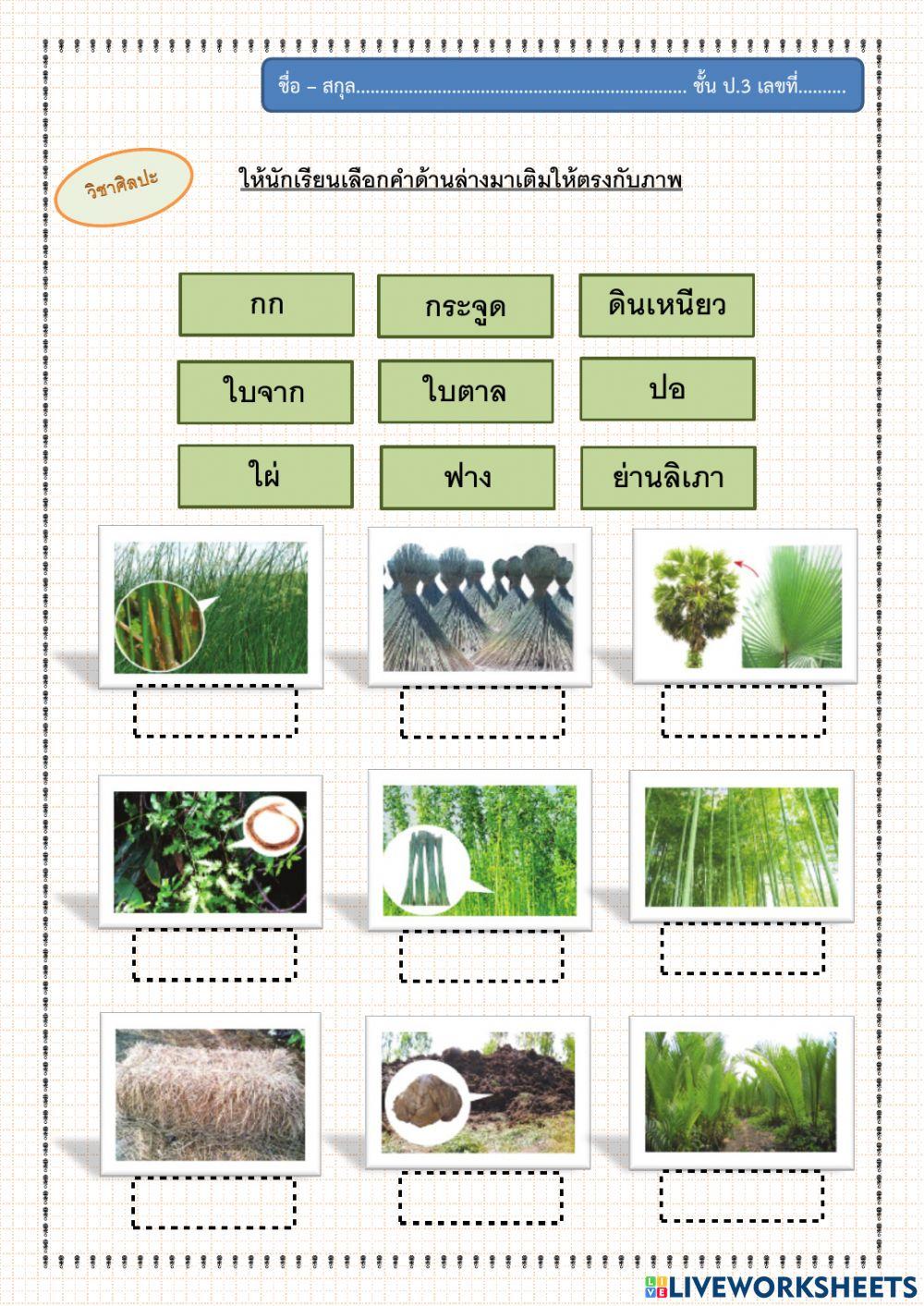 วัสดุในท้องถิ่นที่ใช้ในงานทัศนศิลป์