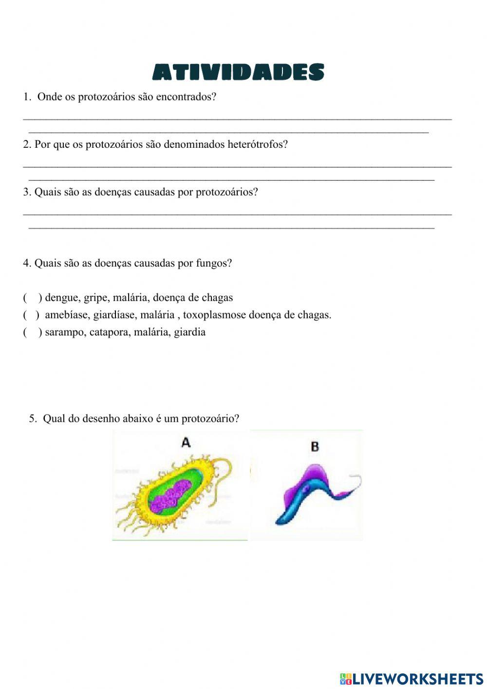 Protozoários