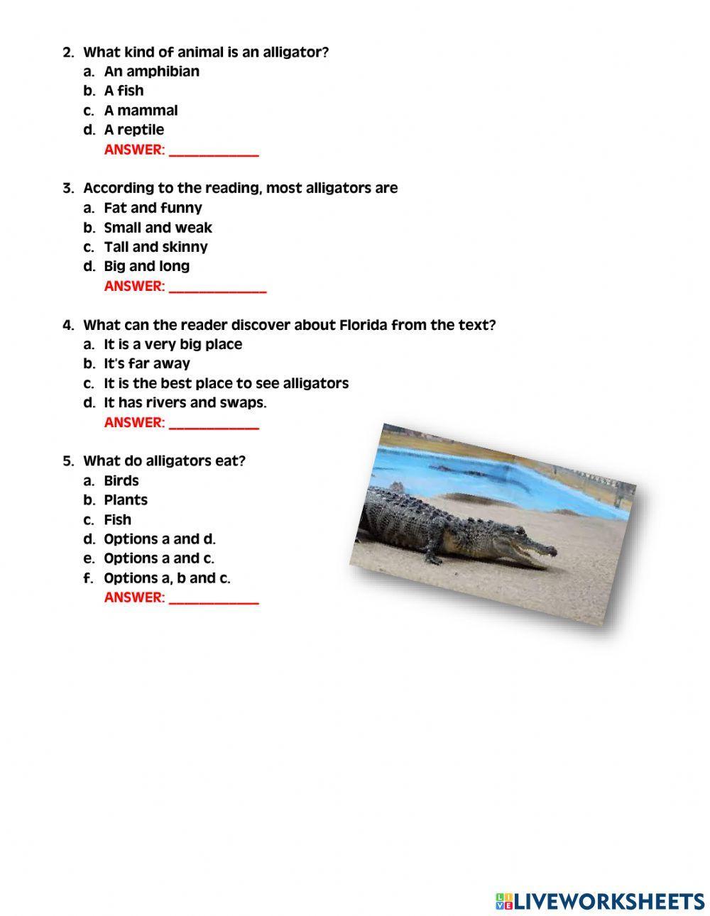 Reading practice A2 level