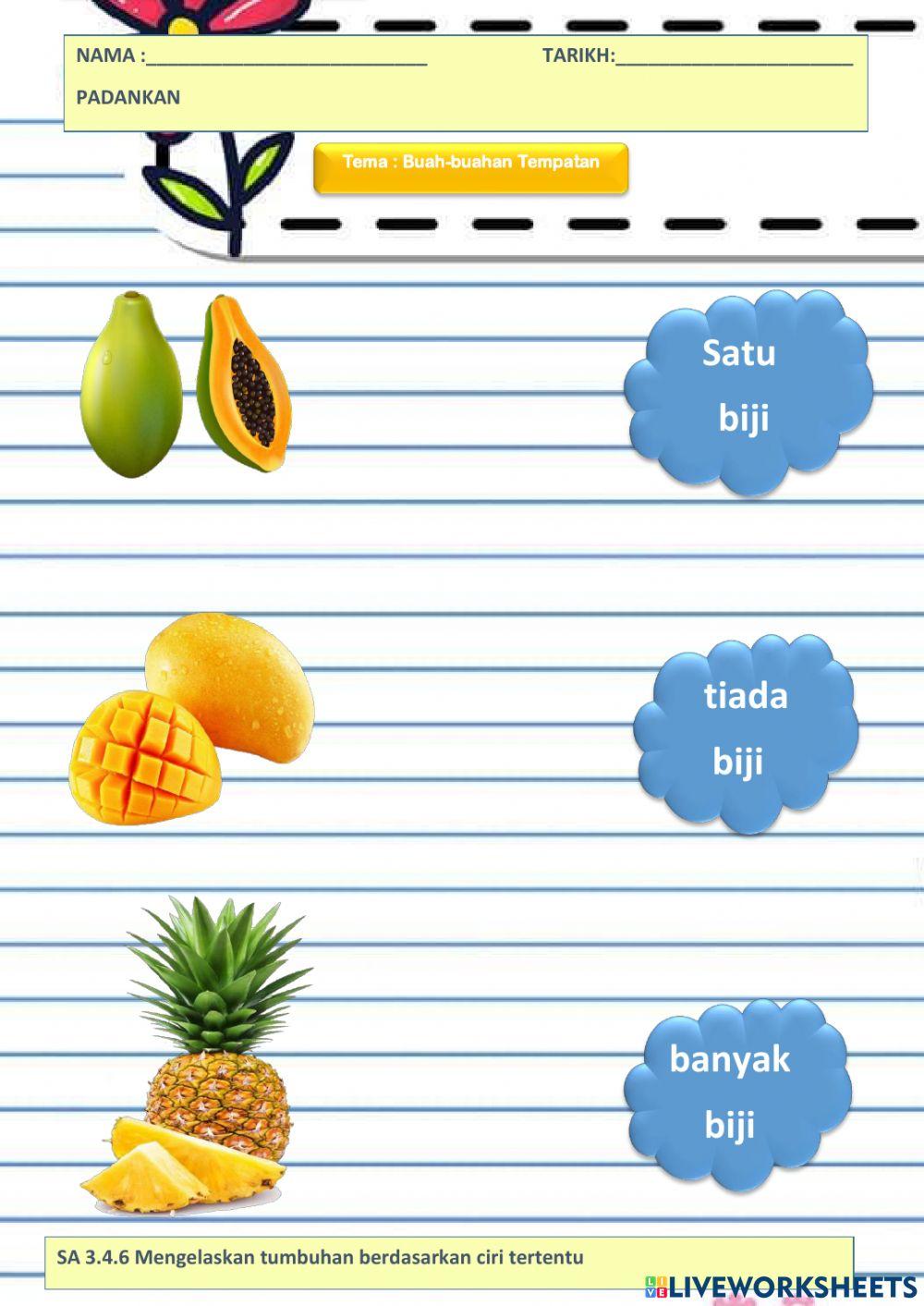 Buah-buahan tempatan