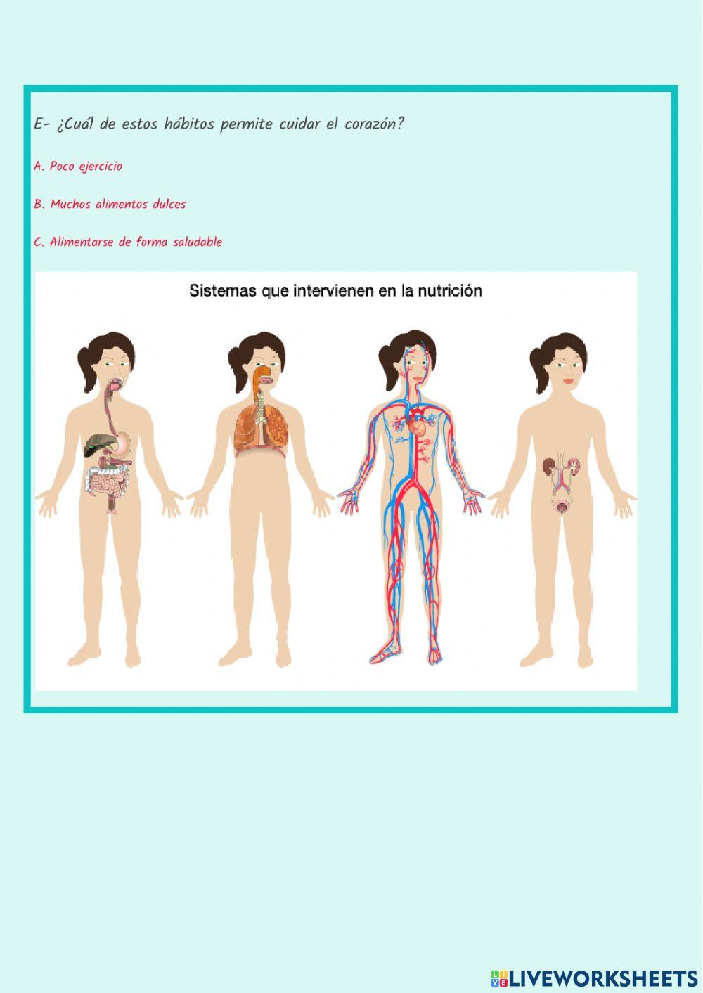 Integración función de nutrición Integración función de nutrición