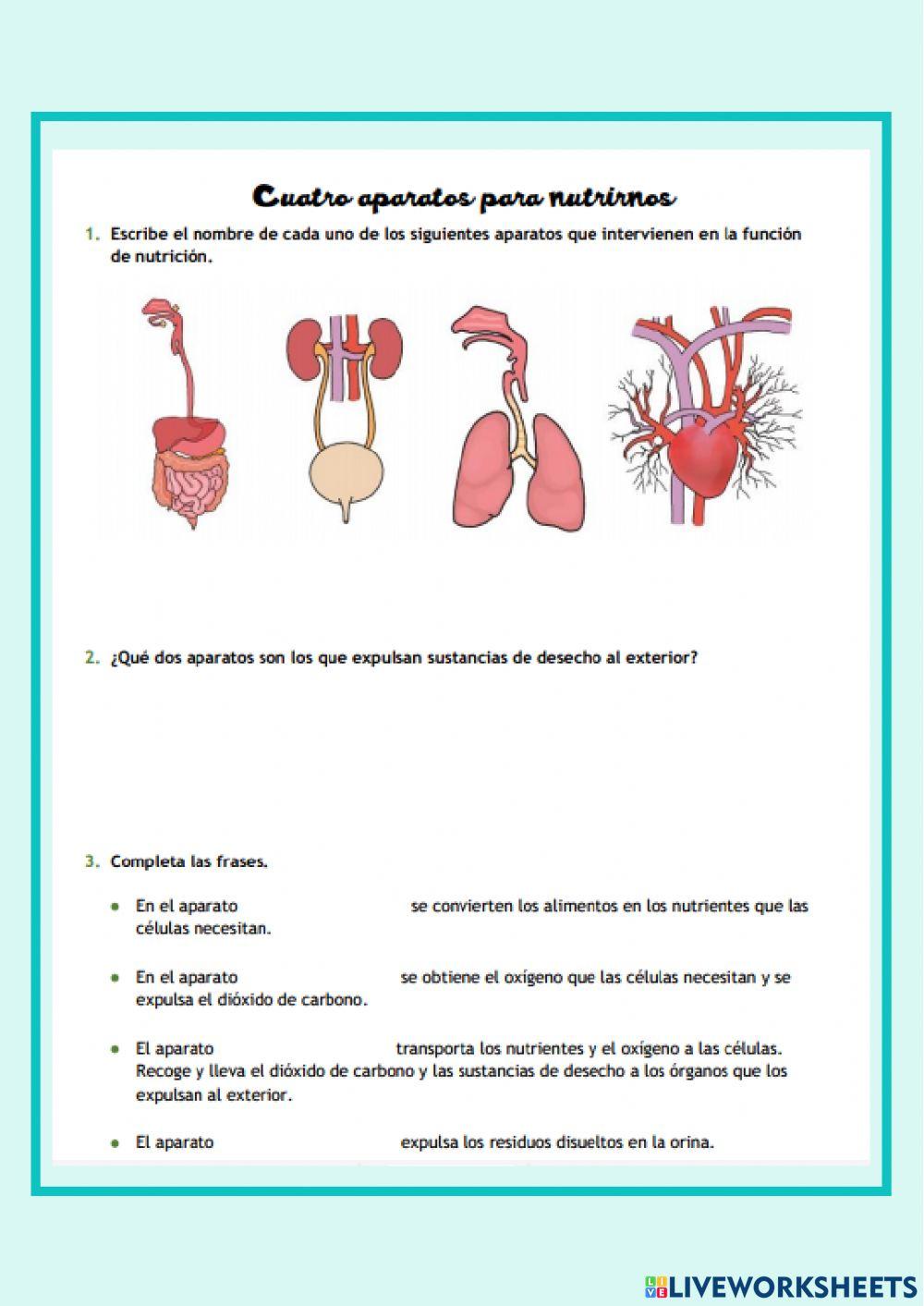 Integración función de nutrición Integración función de nutrición