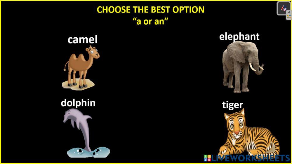 A-an-unit 5 - 4th primaria