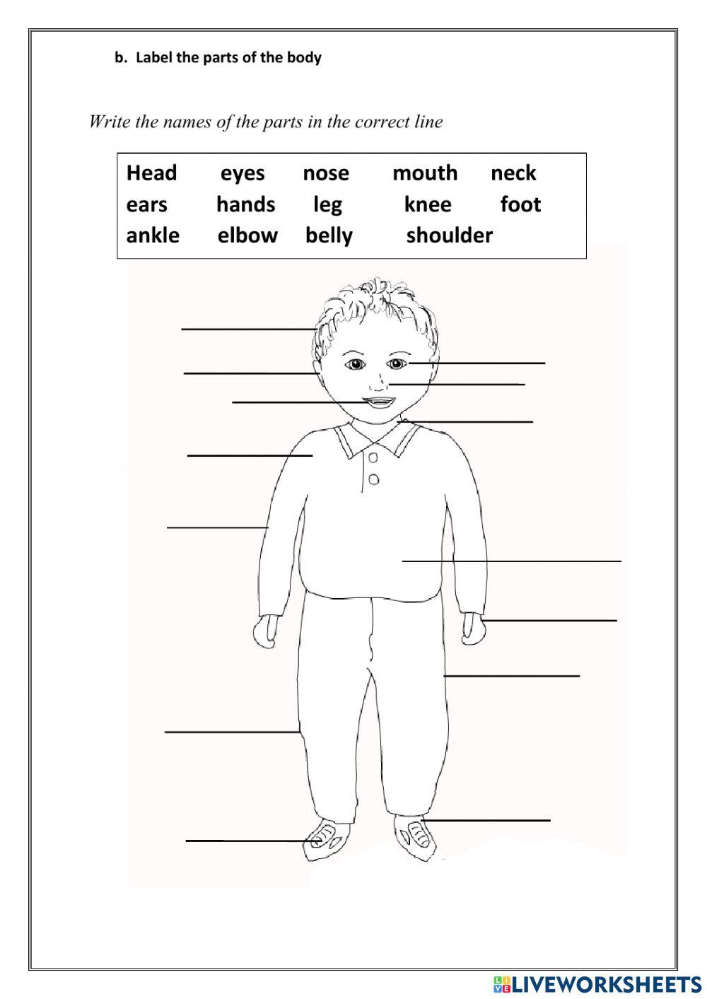EXTERNAL ORGANS ONLINE WORK -HEALTH G1