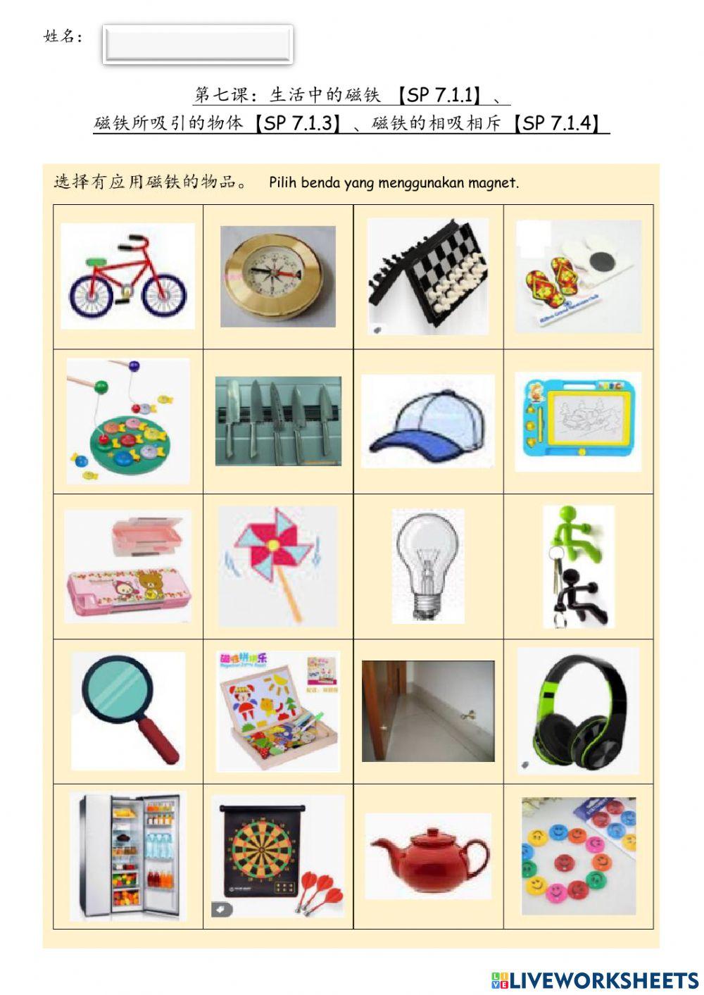 一年级科学：磁铁总评估