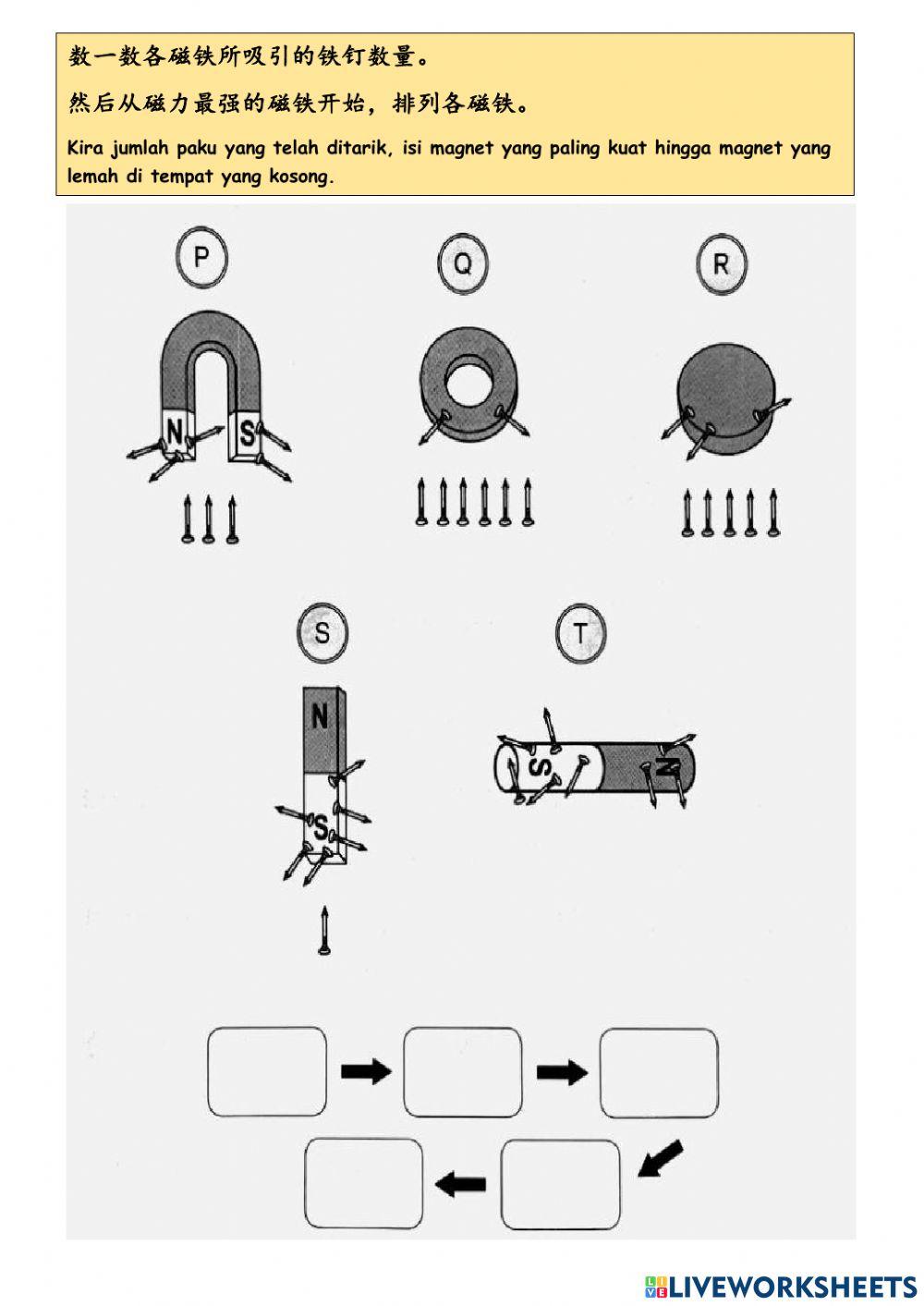 一年级科学：磁铁总评估