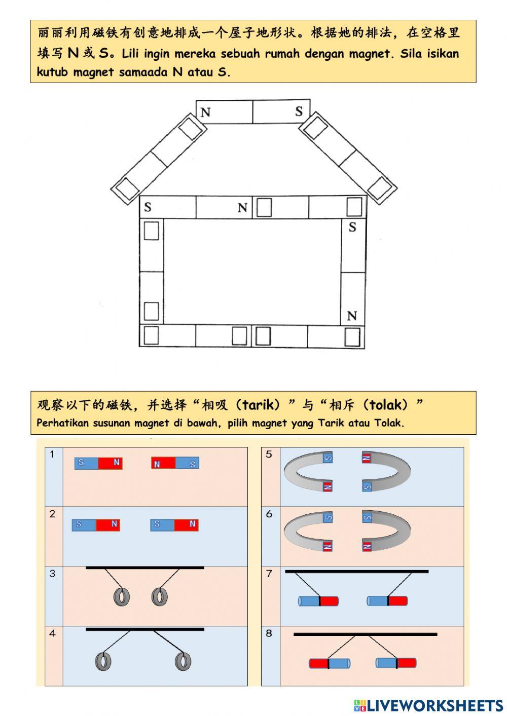 一年级科学：磁铁总评估