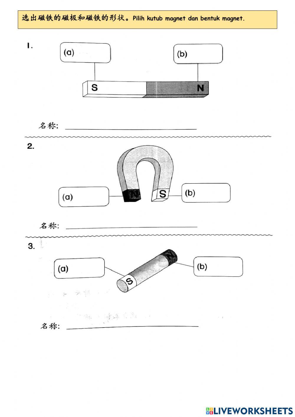 一年级科学：磁铁总评估