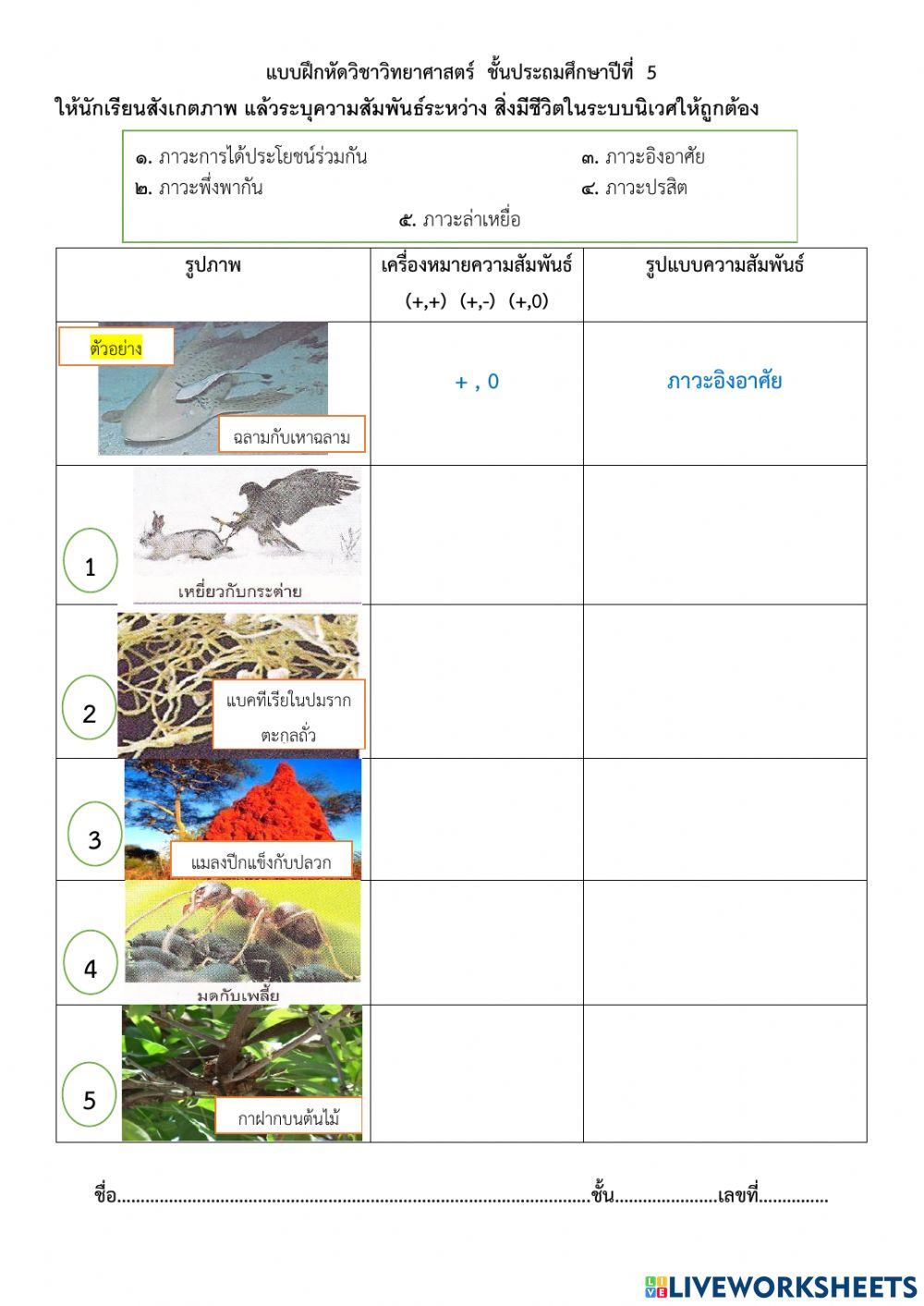 ใบงานเรื่องสิ่งมีชีวิตกับสิ่งแวดล้อม