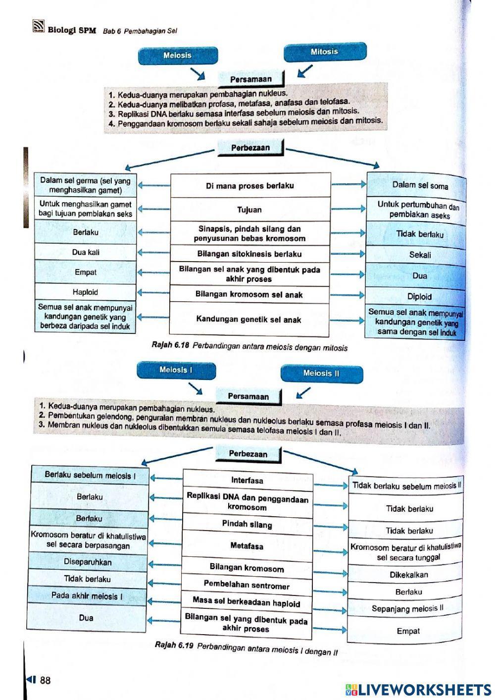 Bio t4 b6 pembahagian sel