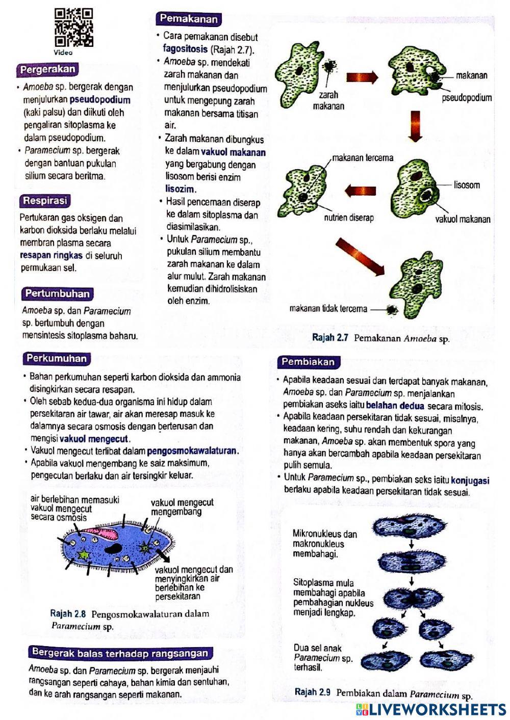 Bio t4 bab 2 sel & organisasi