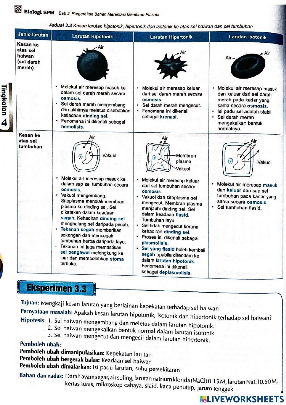 Bio t4 bab 3: membran plasma