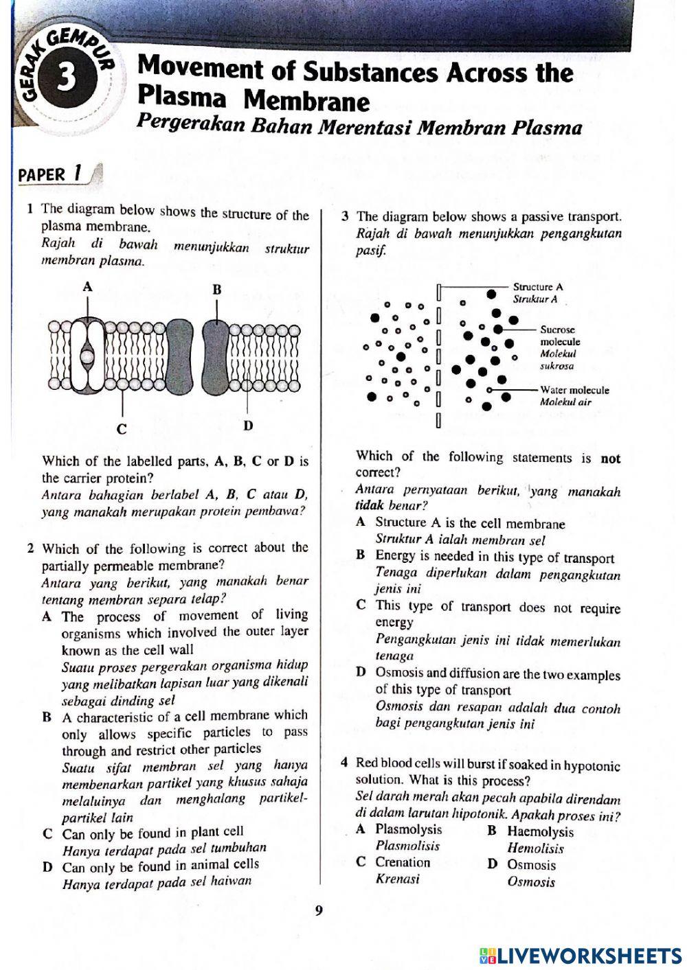 Bio t4 bab 3: membran plasma