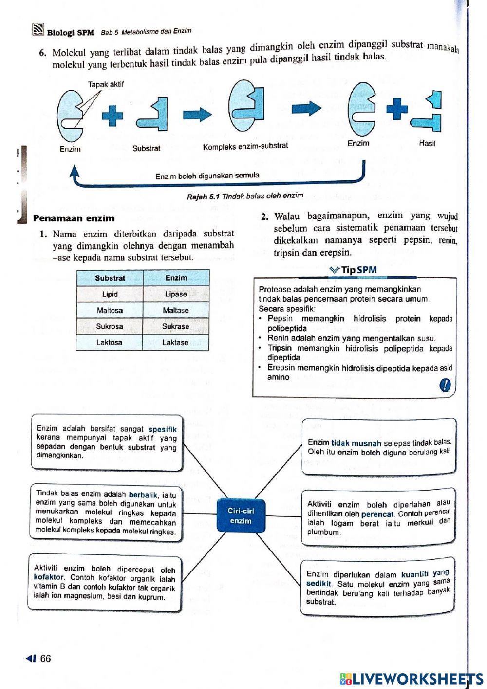 Bio t4 bab 5 metabolisme & enzim