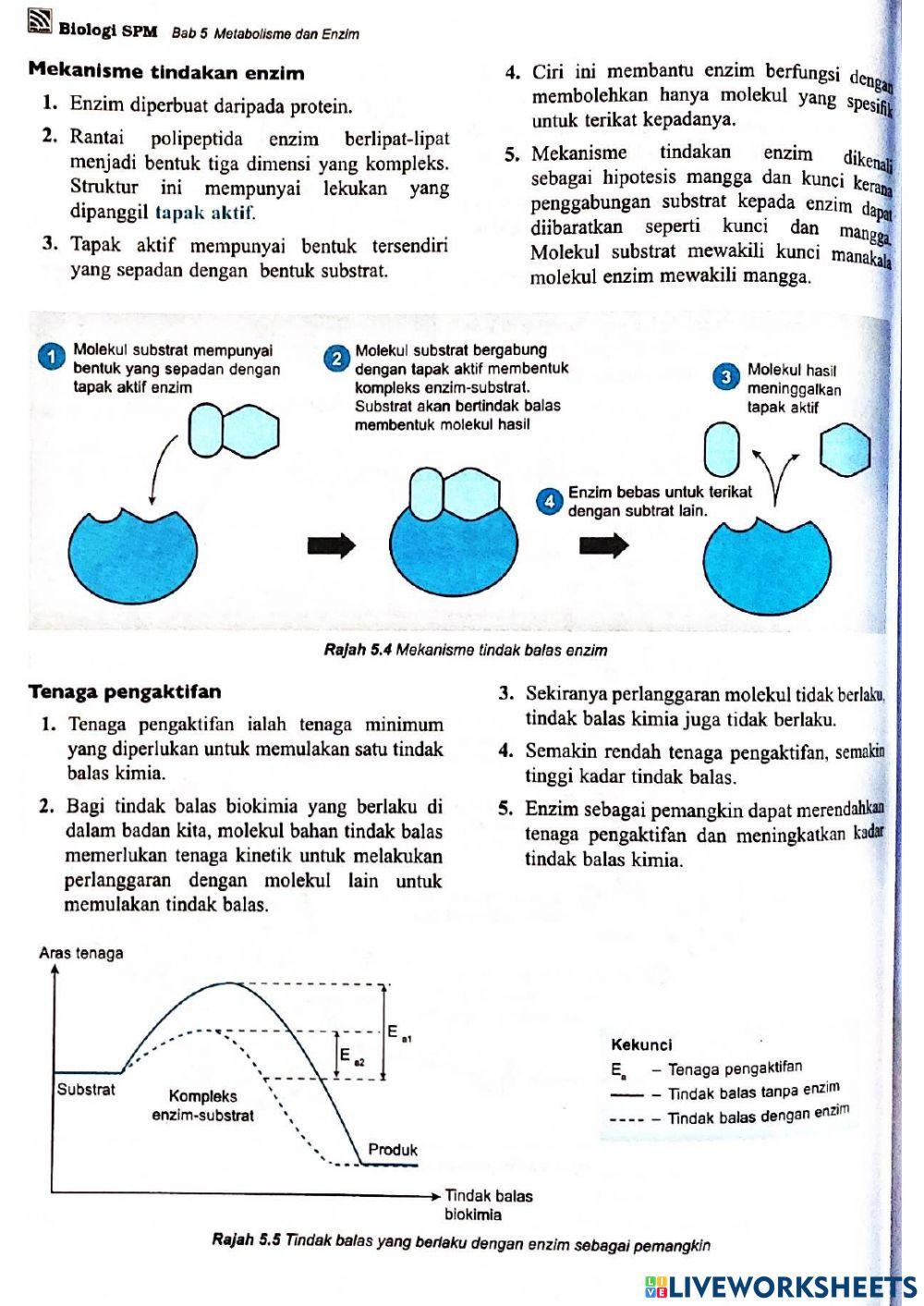 Bio t4 bab 5 metabolisme & enzim