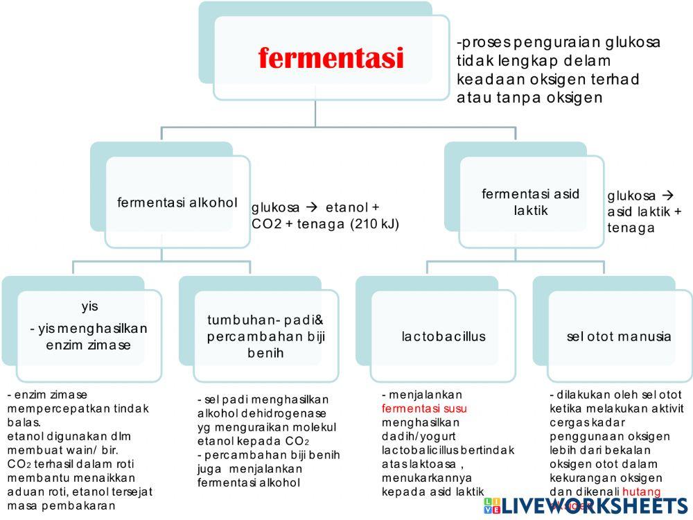 Bio t4 bab 6 respirasi sel