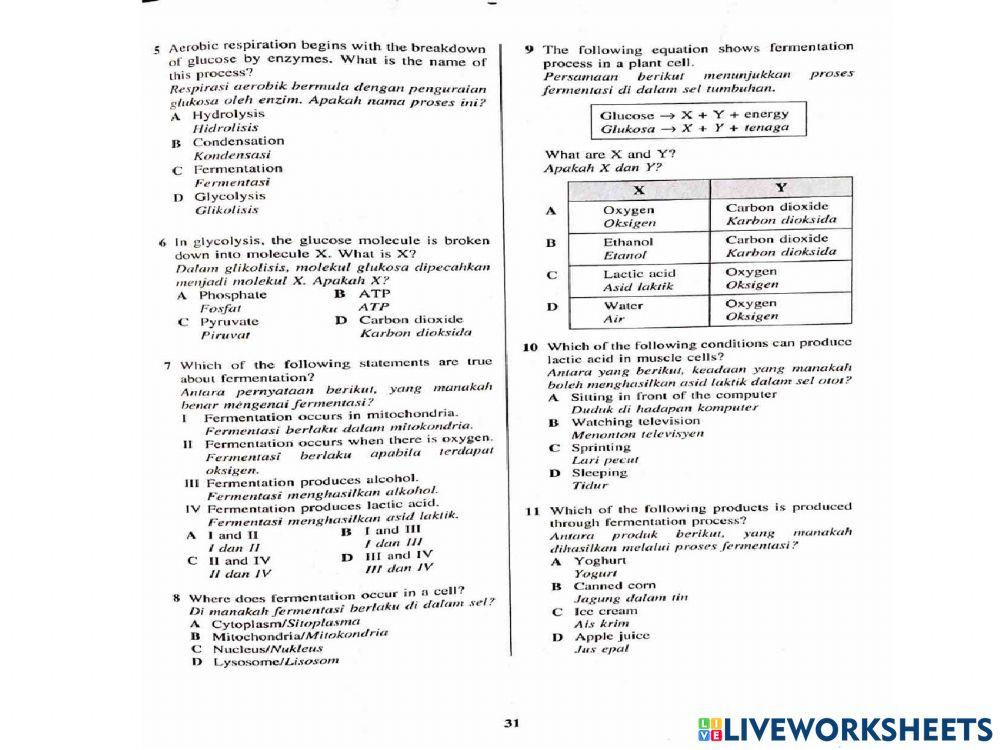 Bio t4 bab 6 respirasi sel