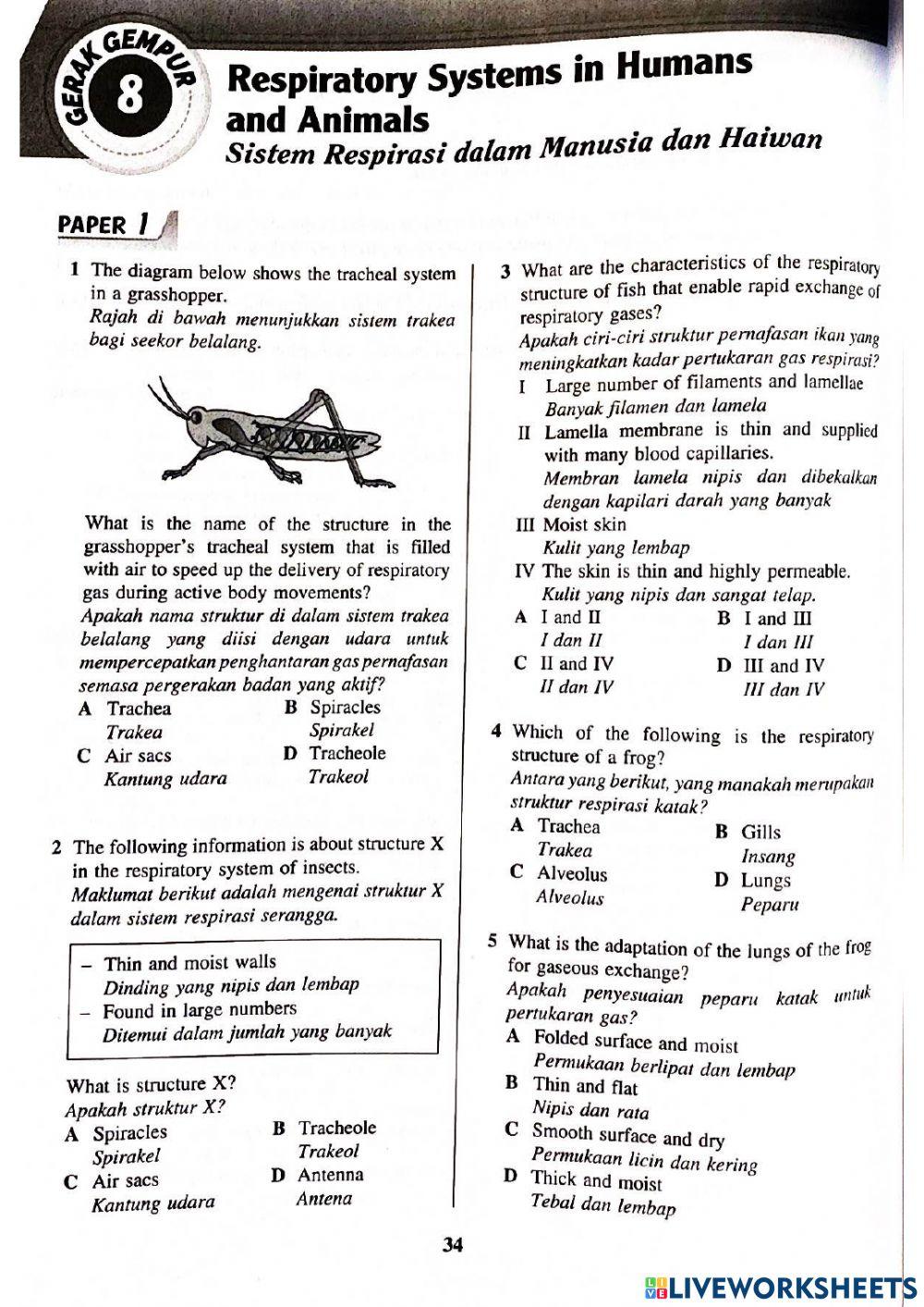 Bio t4 bab8 sistem respirasi