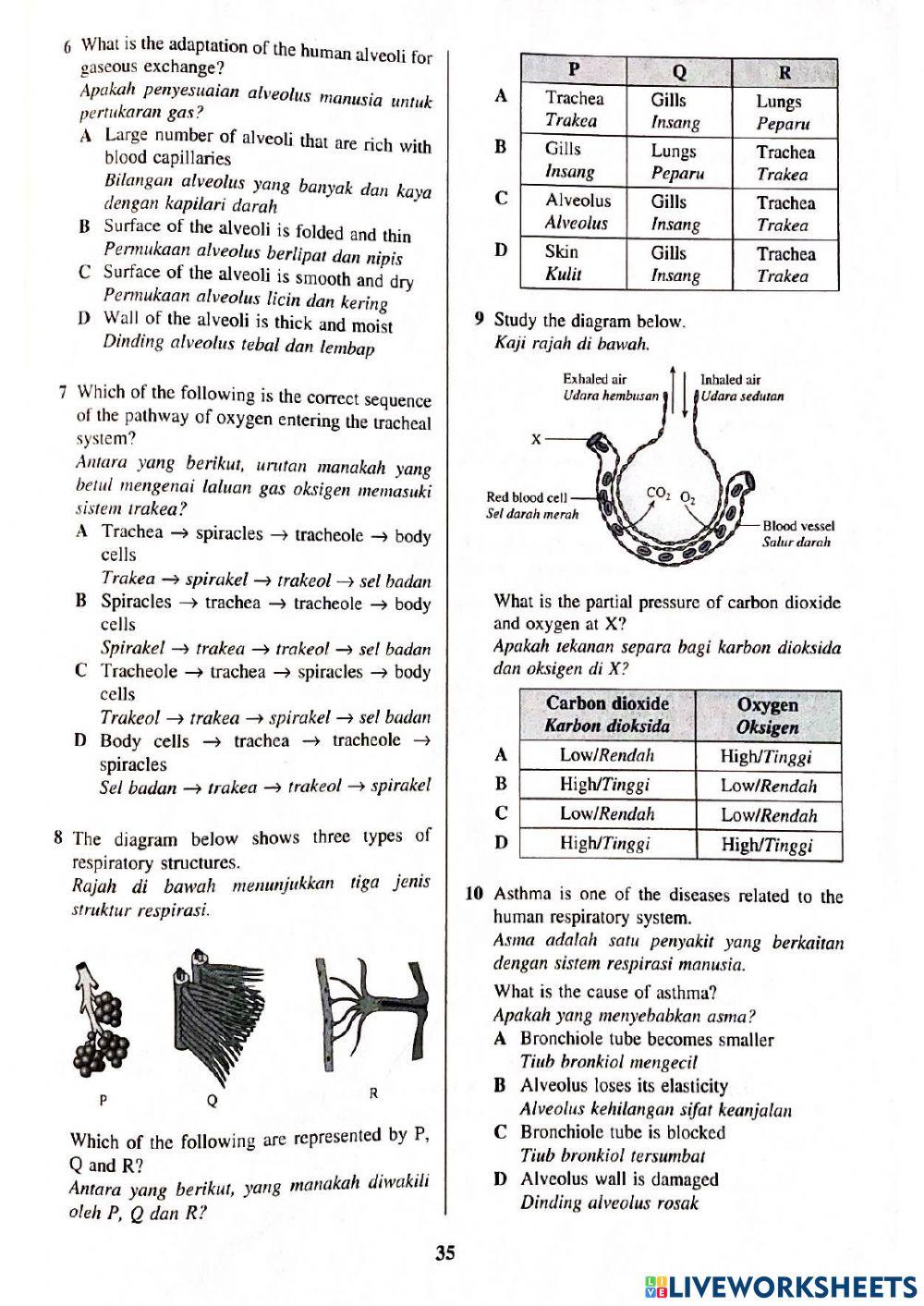 Bio t4 bab8 sistem respirasi