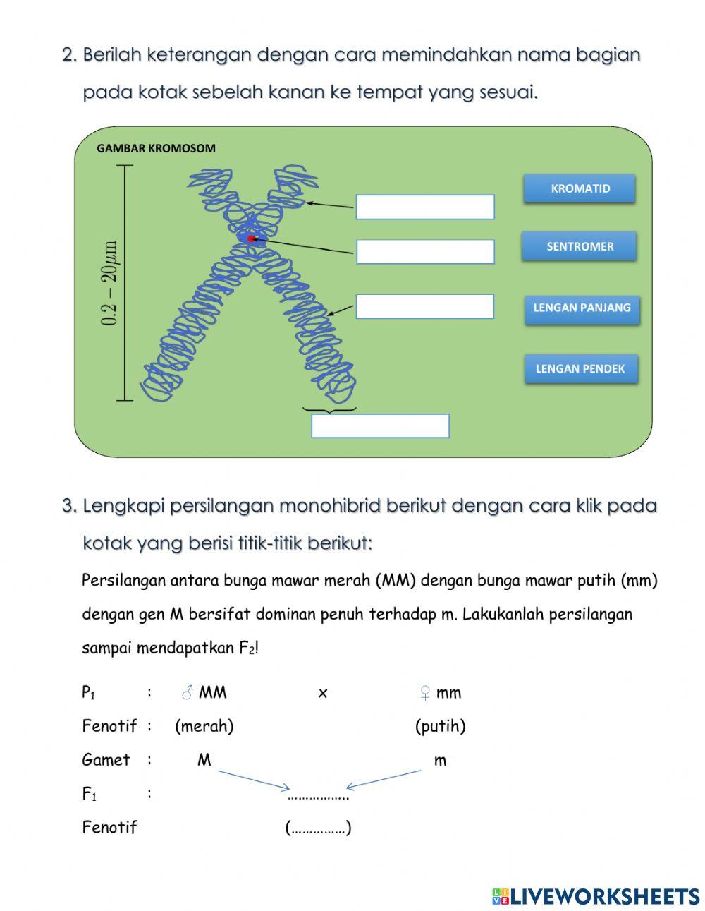 LKPD pewarisan Sifat
