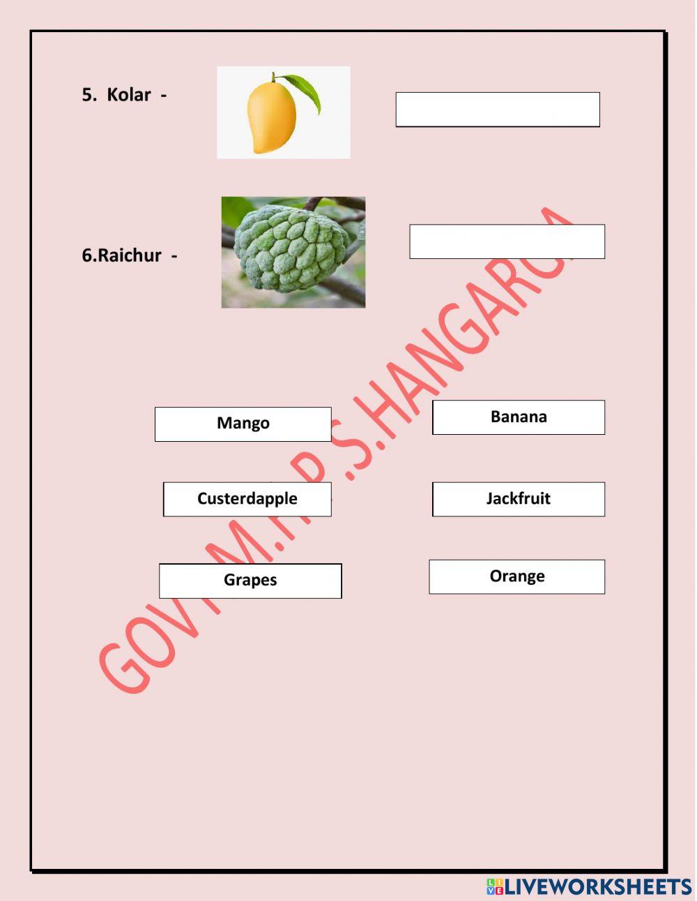 Writes the names of the fruits besides the pictures